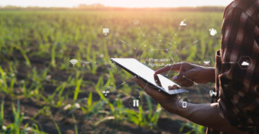 is bsc agriculture a good career option here what you need to know