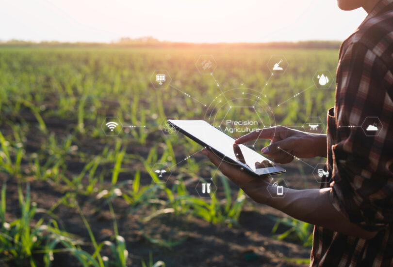 is bsc agriculture a good career option here what you need to know