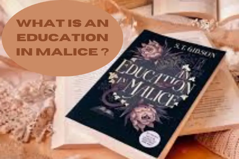 what is an education in malice